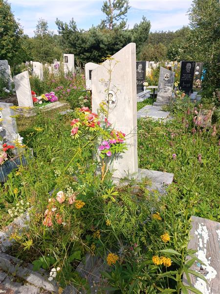 Уфимцев Александр Петрович