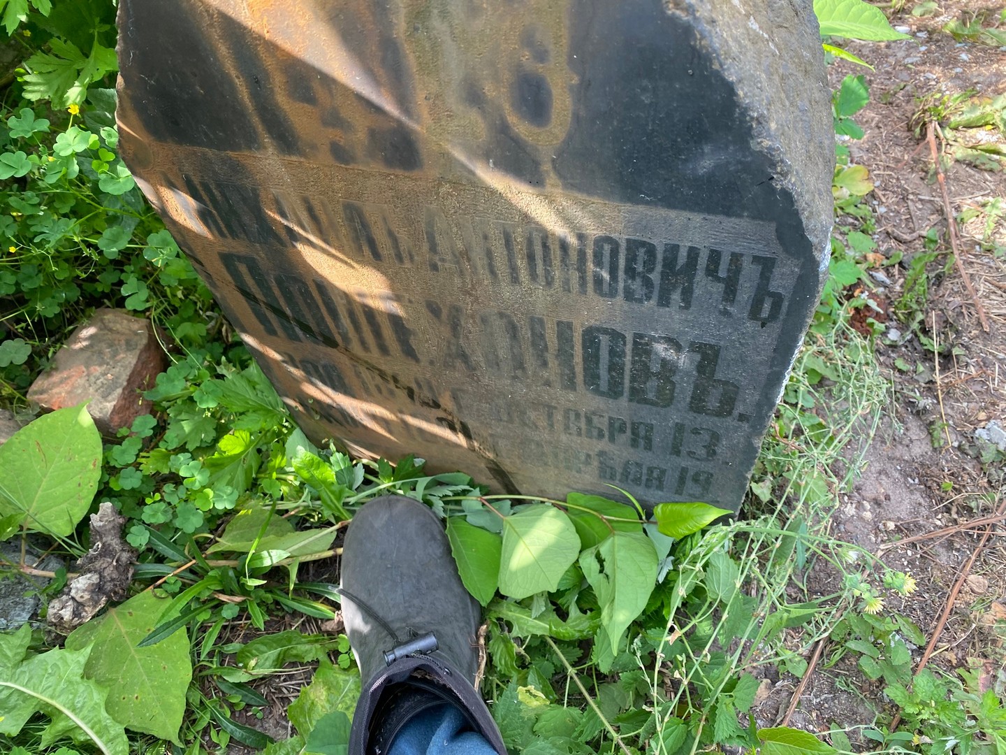 Пошехонов