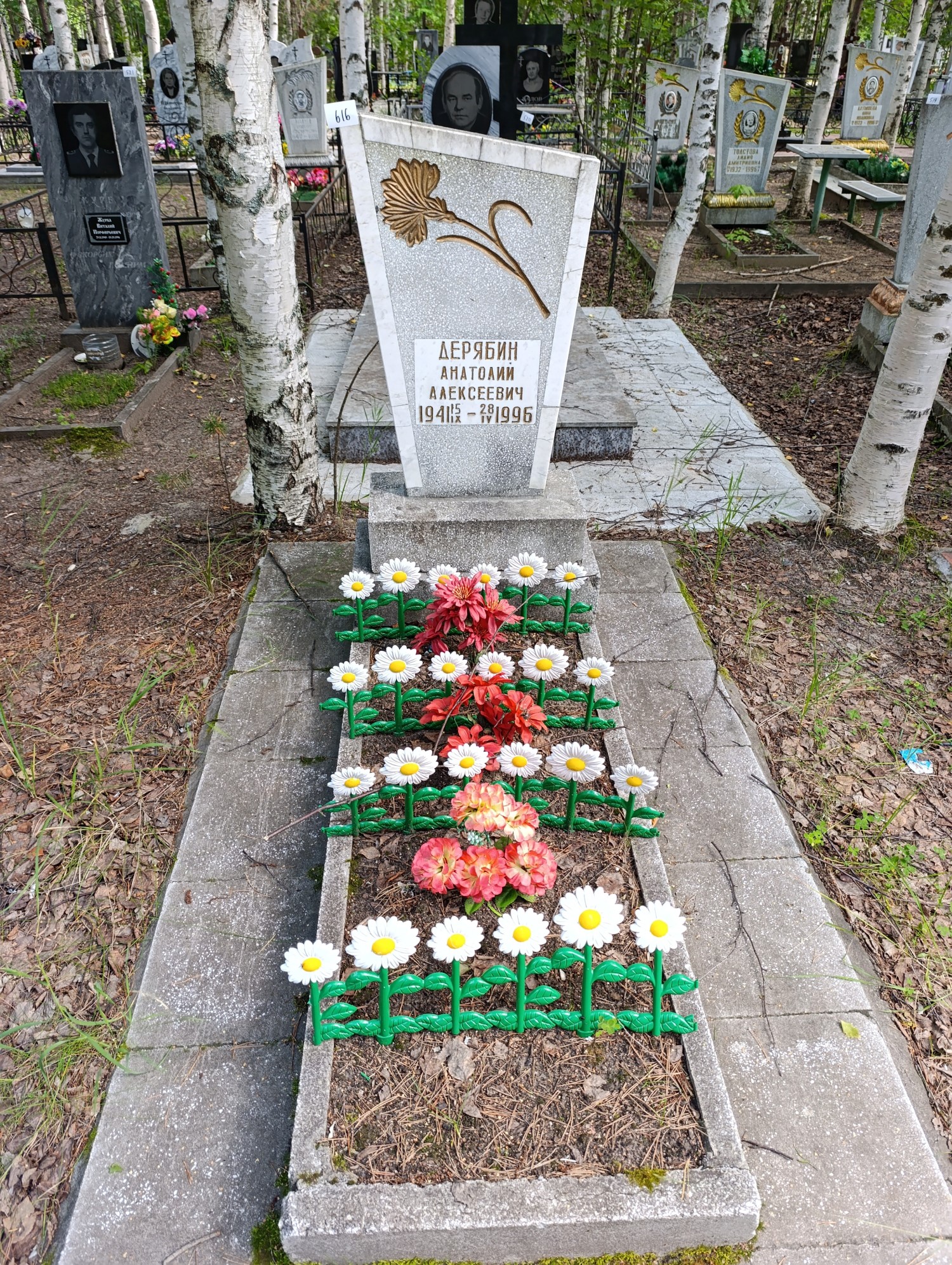 Дерябин Анатолий Алексеевия