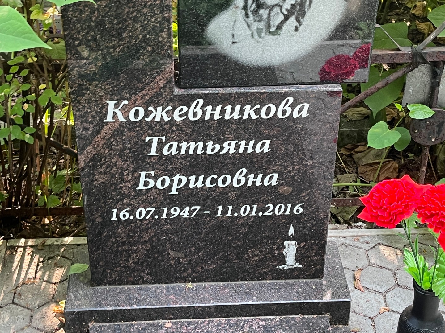 Кожевникова