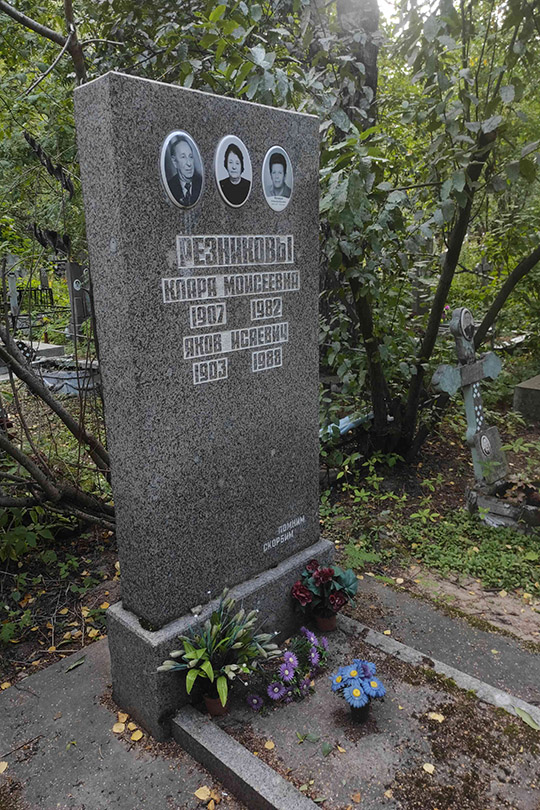 Резников Яков Исаеевич