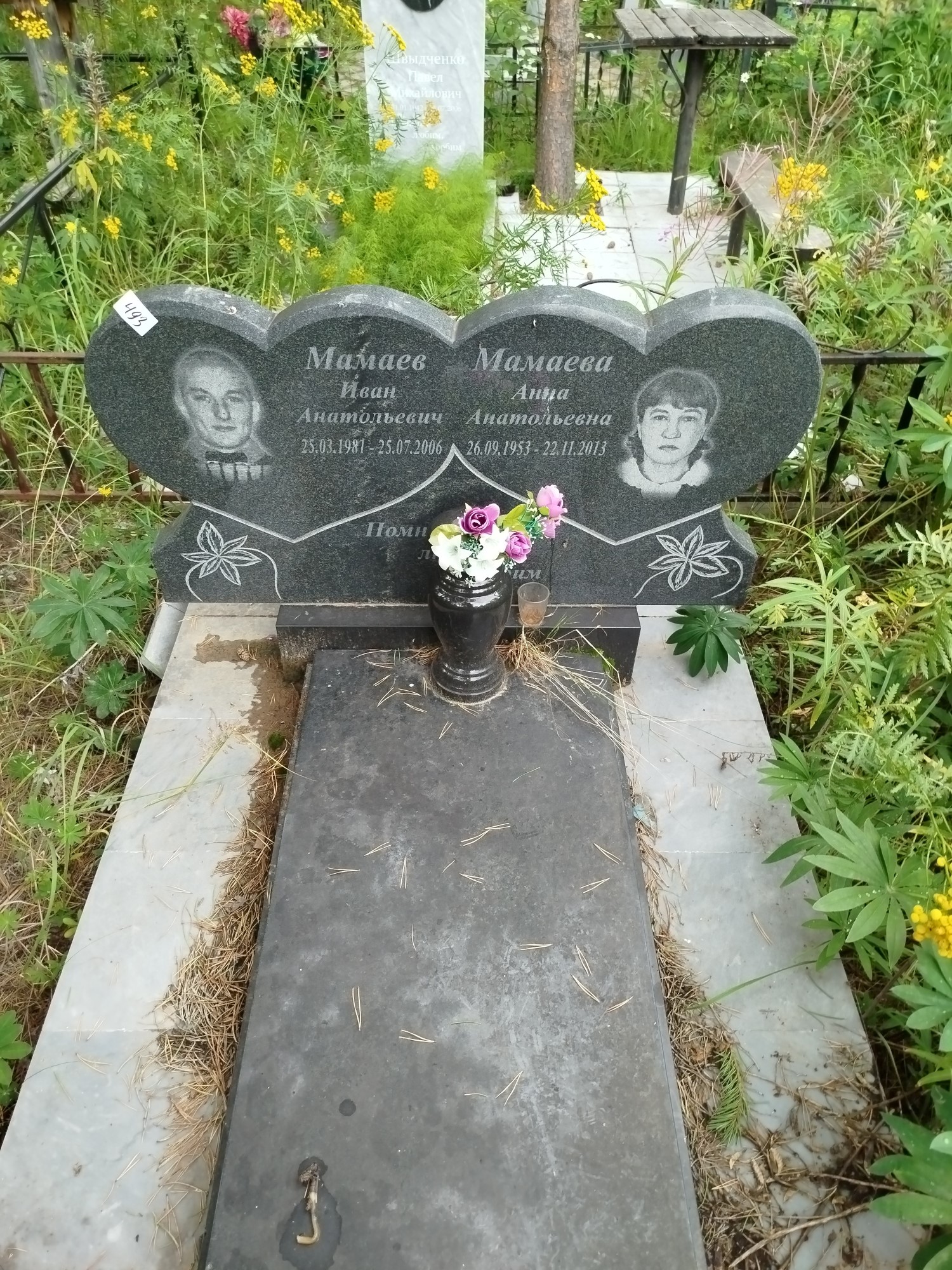 Мамаева Анна Анатольевна