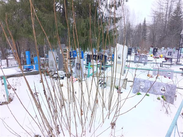 Грехов Александр Германович