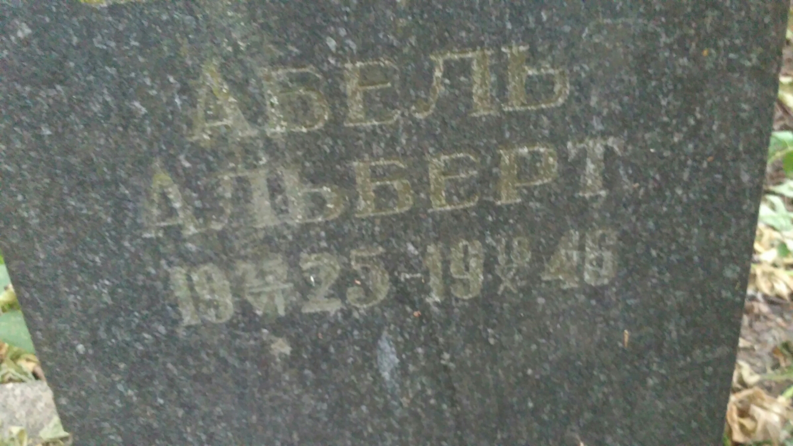 Абель Альберт