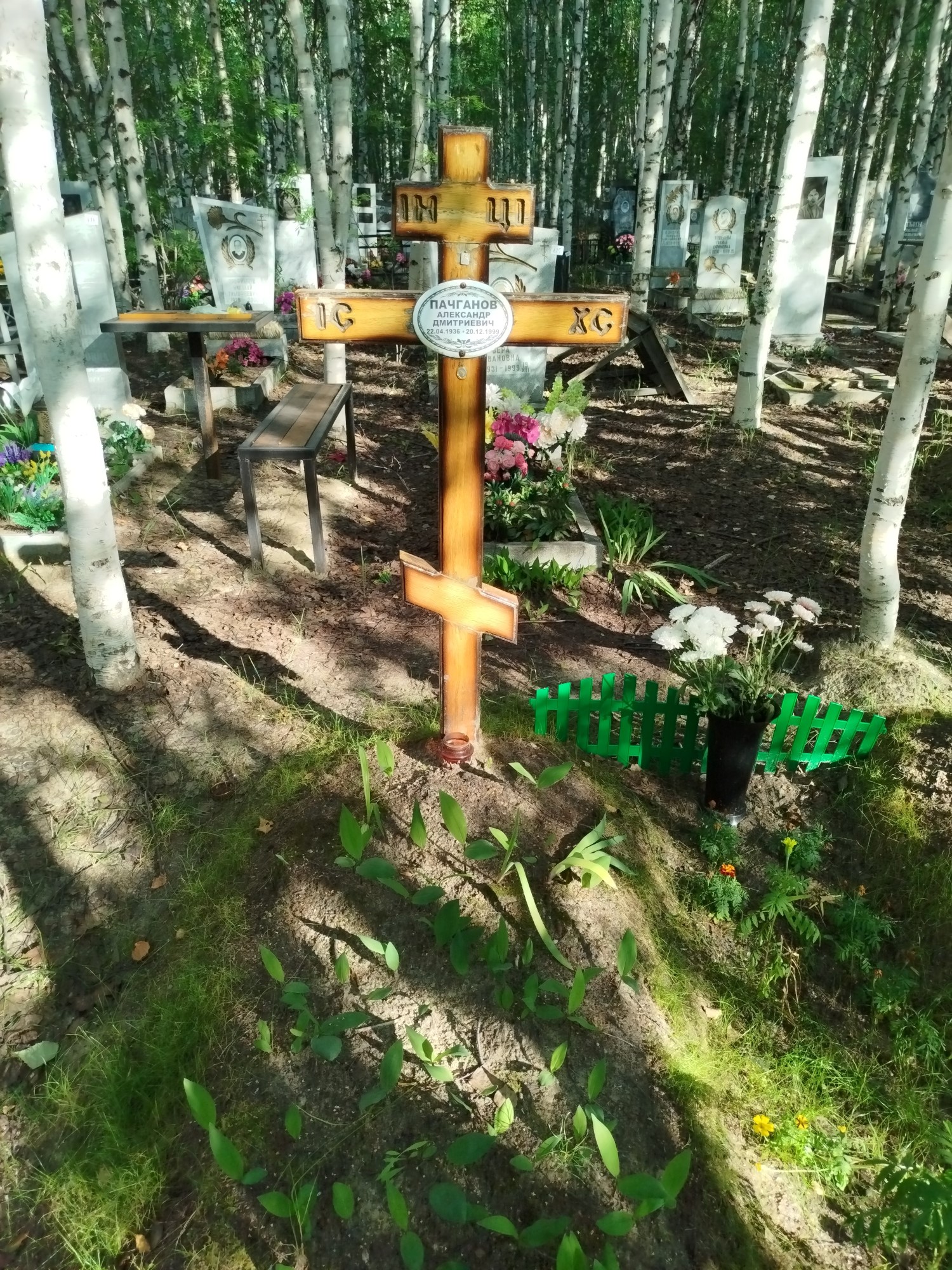 Пачганов Александр Дмитриевич