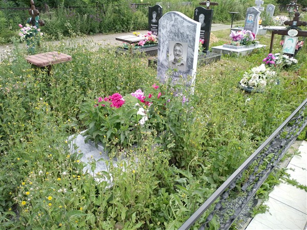 Шаманин Григорий Юрьевич