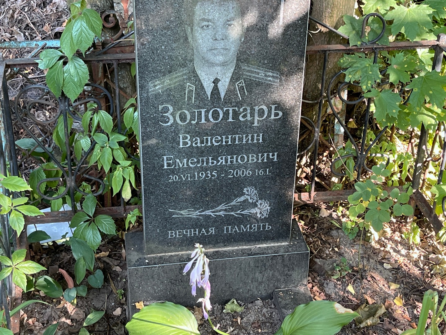 Золотарь