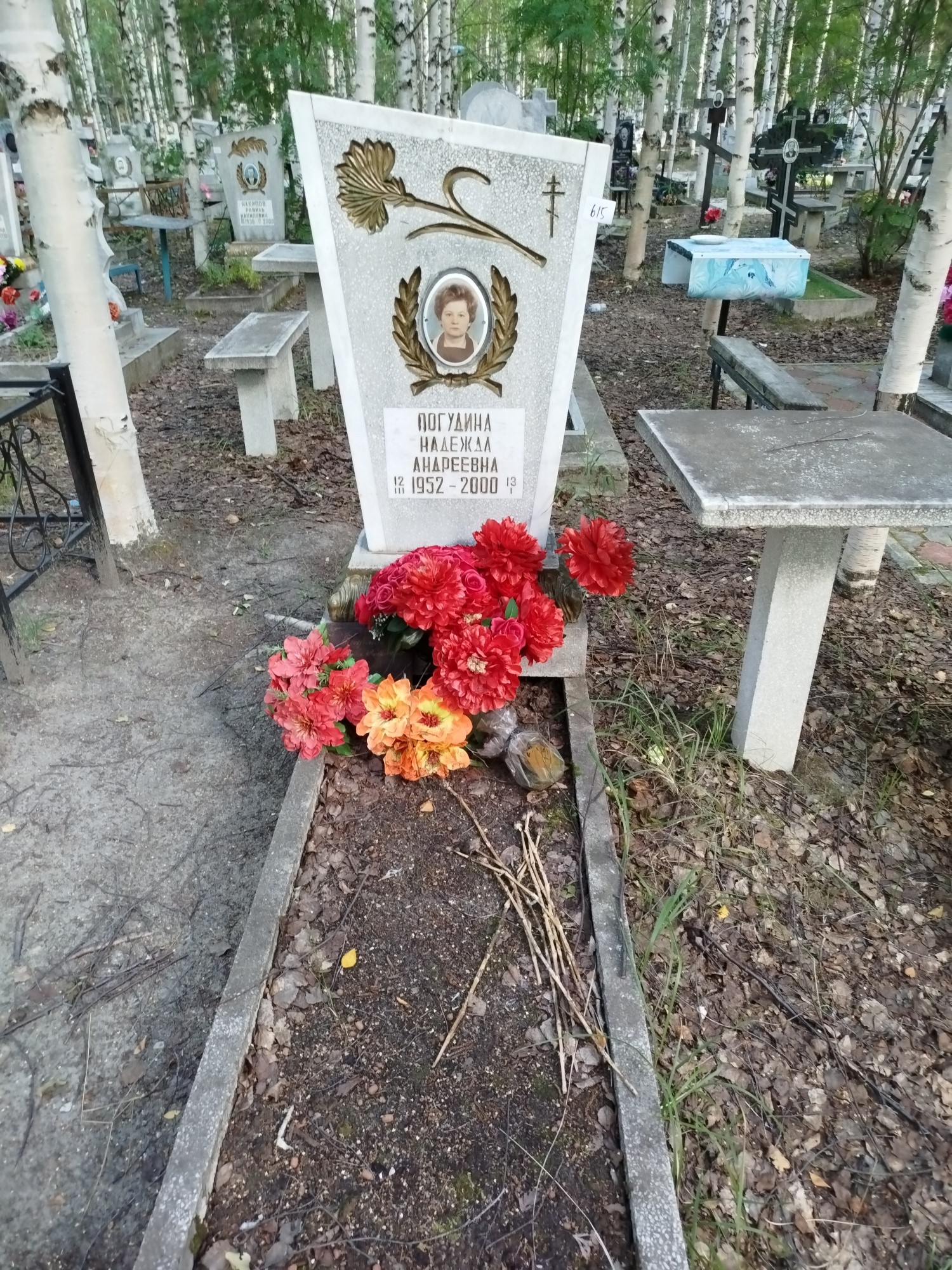 Погудина Надежда Андреевна