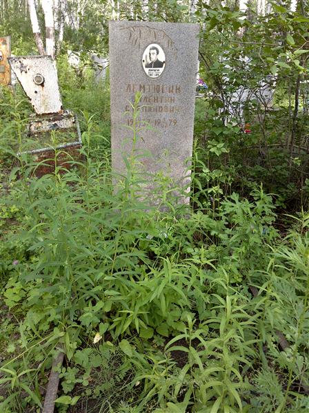 Лемтюгин Валентин Степанович