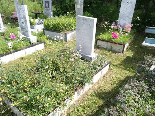 Сунцова Дарья Васильевна