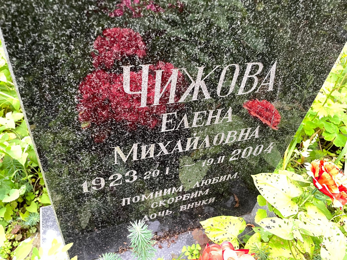 Чижова
