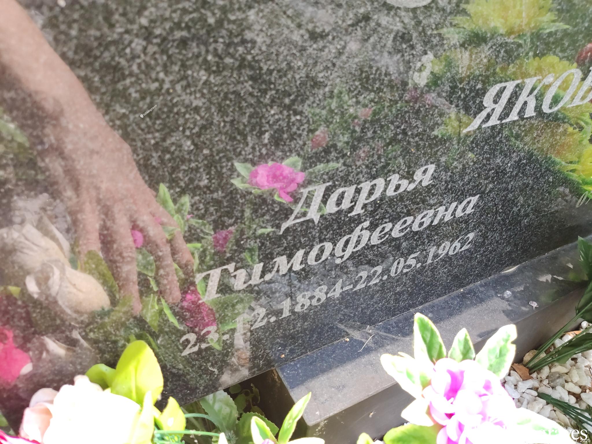 Яковлева Дарья Тимофеевна
