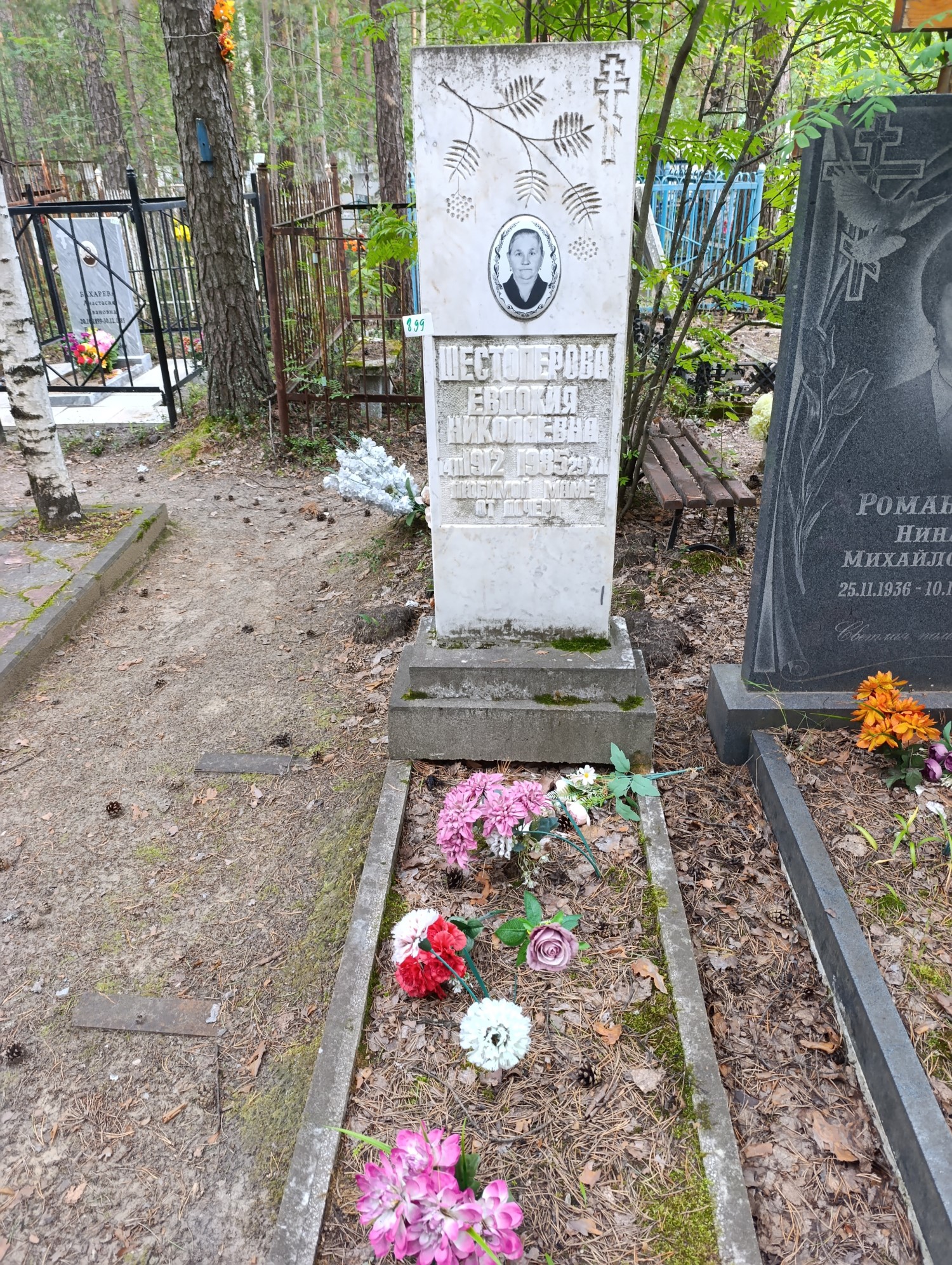 Шестоперова Евдокия Николаевна