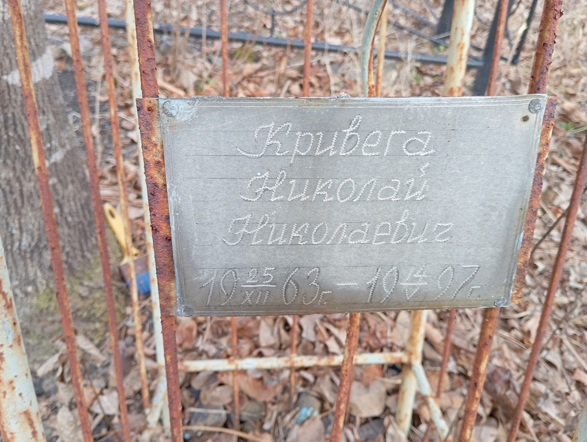 Кривега Николай Николаевич