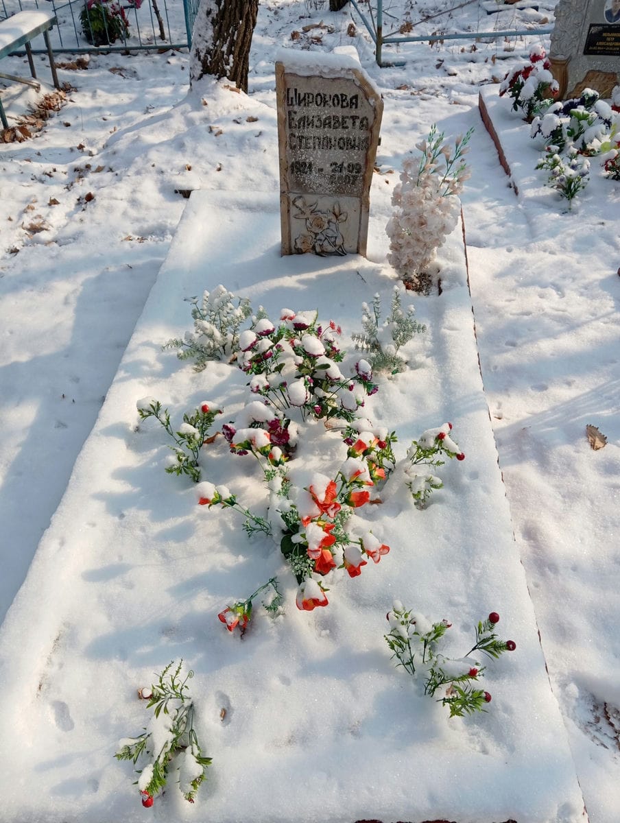 Широкова Елизавета Степановна