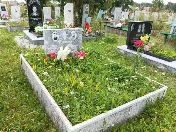 Чеснокова Анна Васильевна