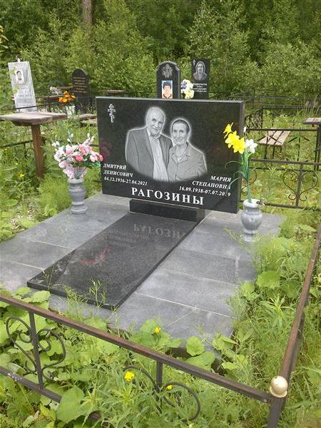 Рагозин Дмитрий Денисович