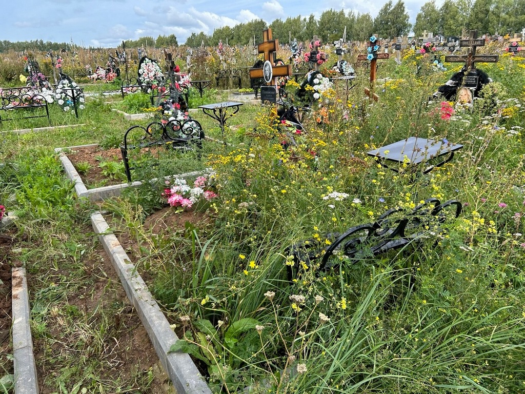 Пиковская Алиса Павловна