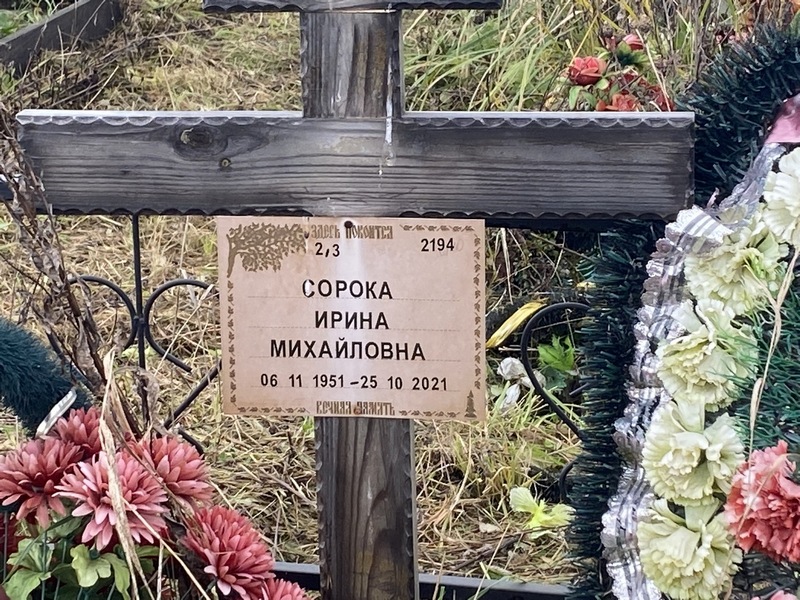 Сорока