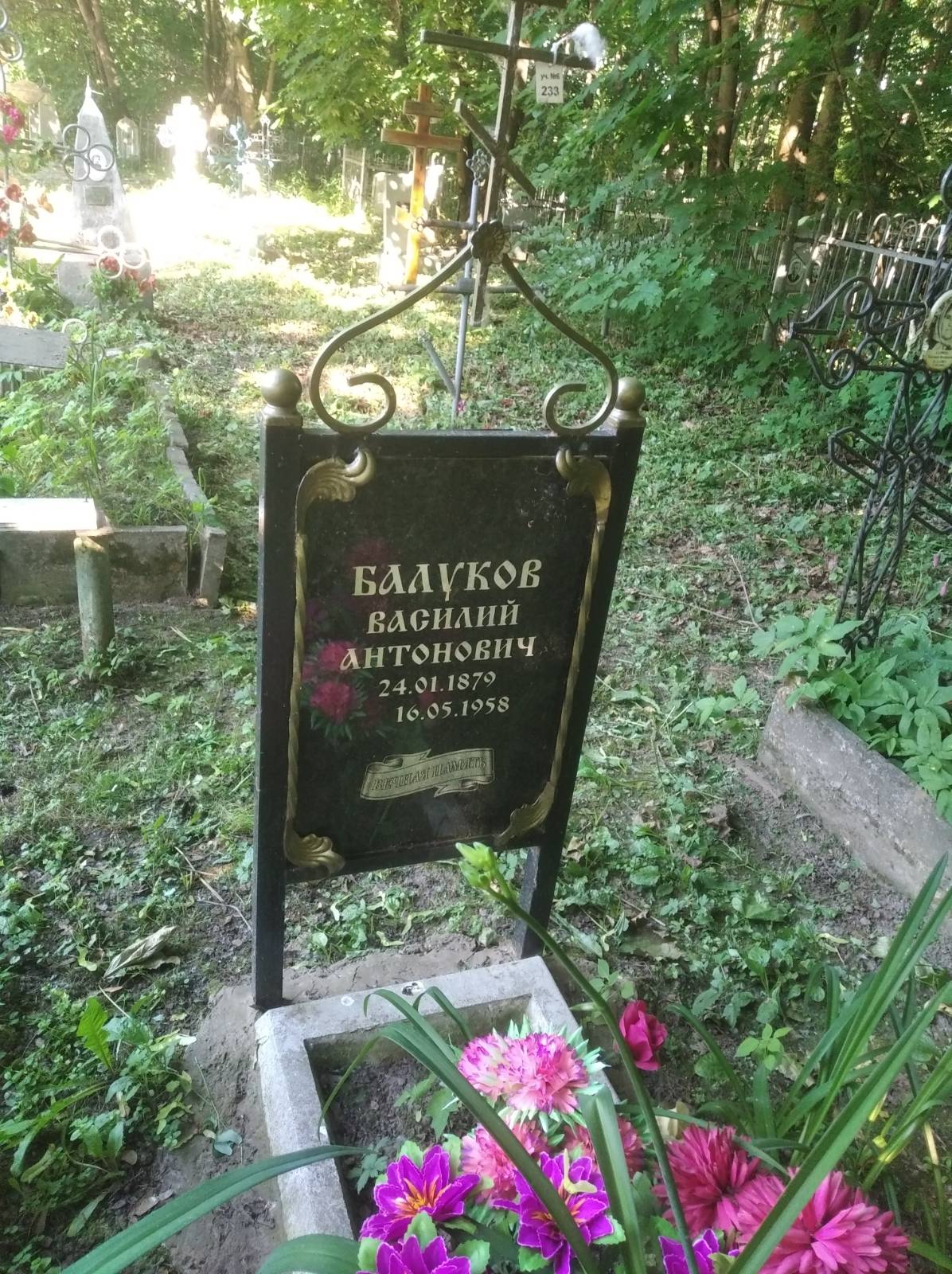 Балуков Василий Антонович