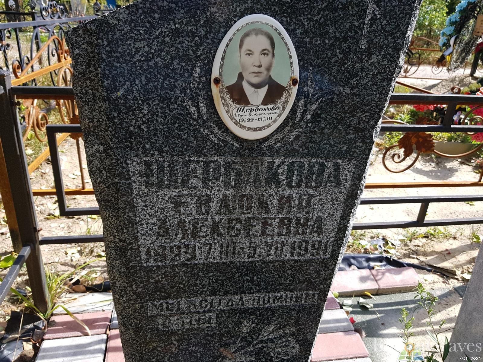 Щербакова Евдокия Алексеевна