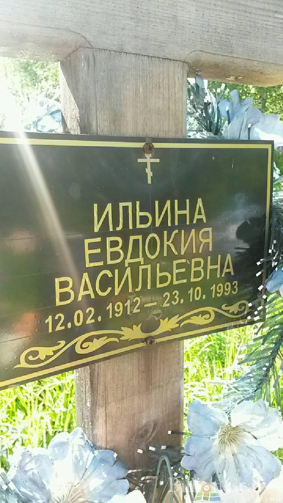 Ильина Евдокия Васильевна