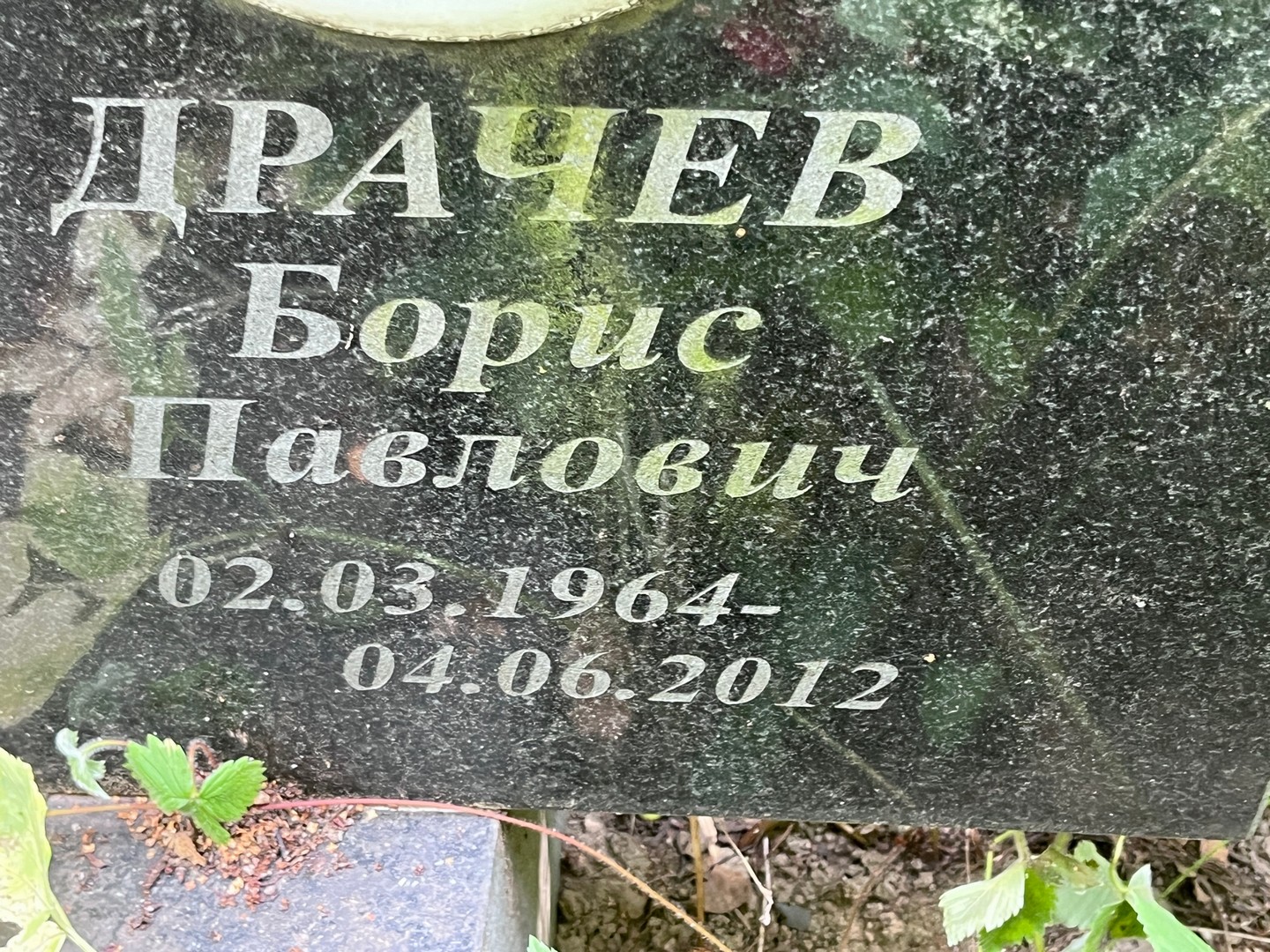 Драчев