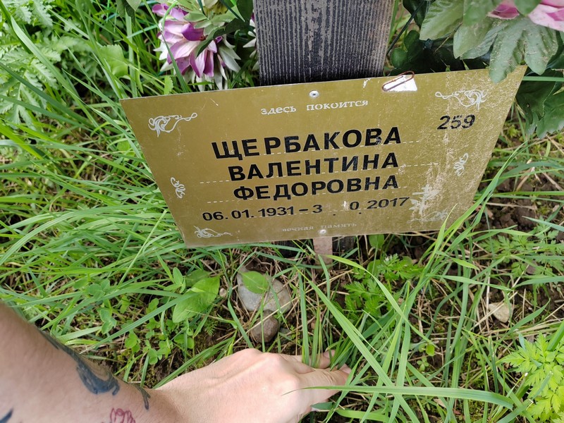 Щербакова