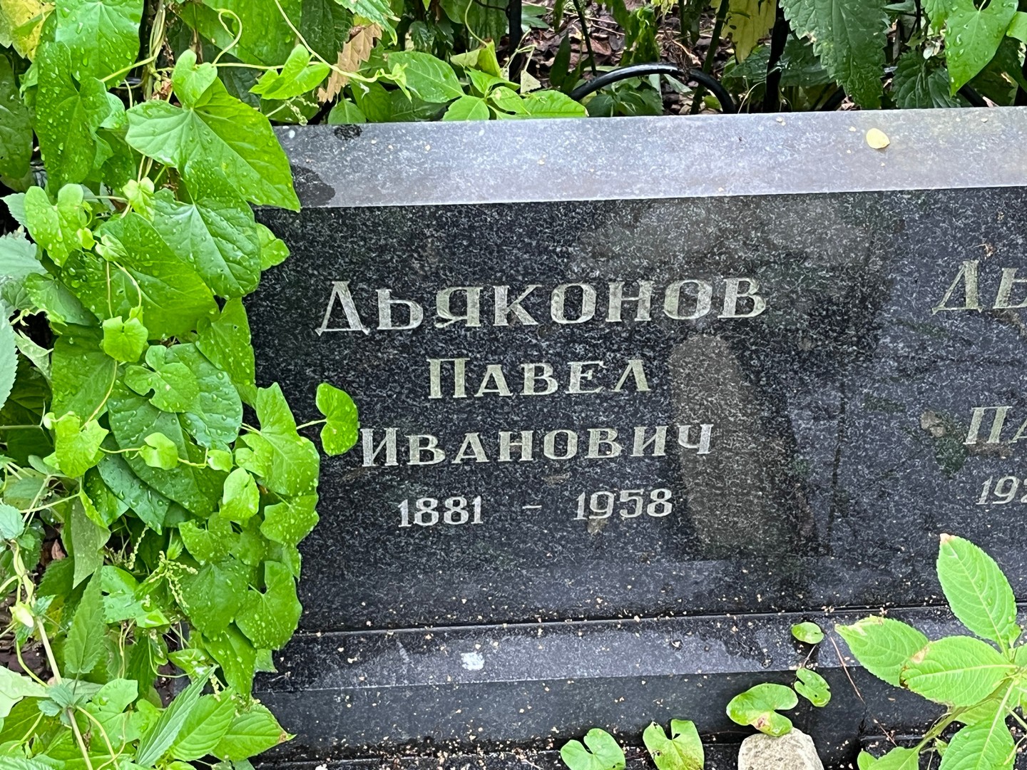 Дьяконов