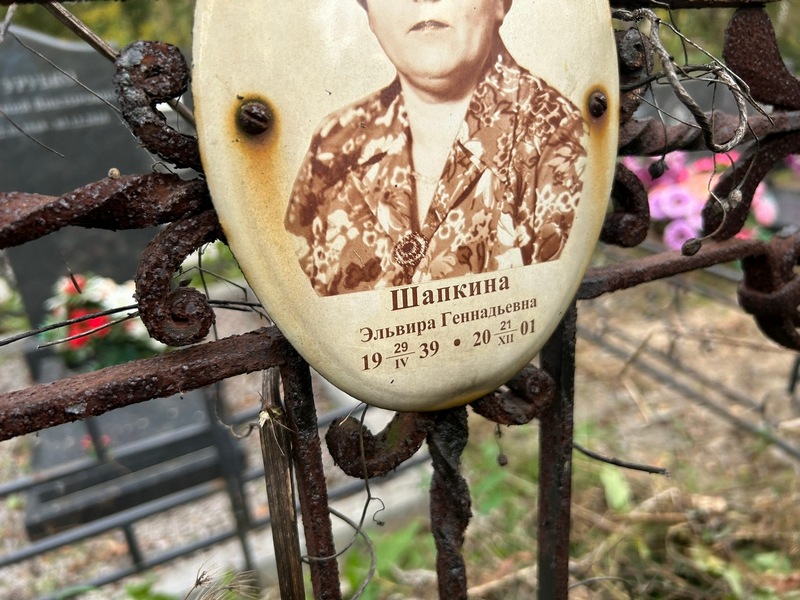 Эльвира Шапкина Геннадьевна