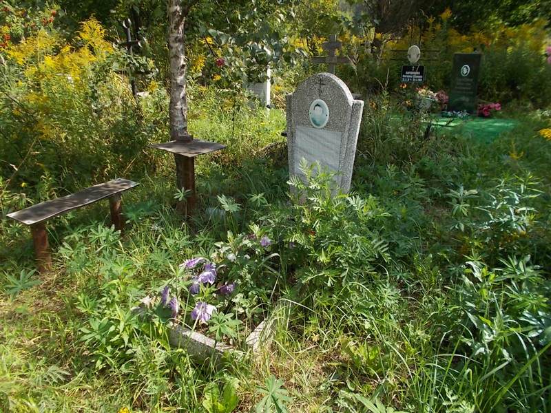 Родионов Владимир Николаевич