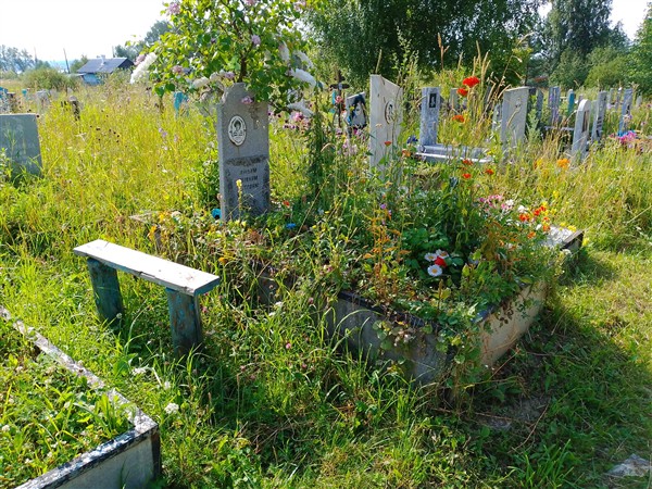 Перова Наталья Геннадьевна