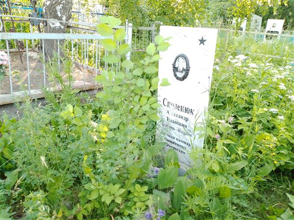 Споденюк Александр Иванович
