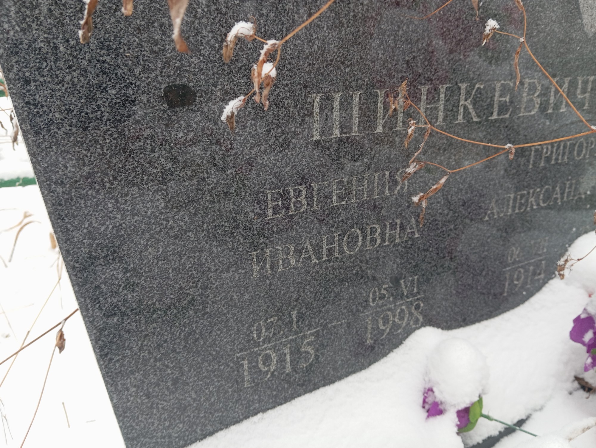 Шинкевич Евгения Ивановна