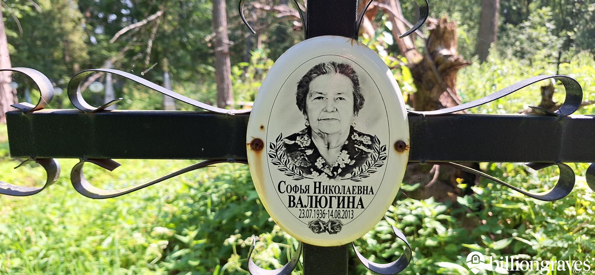 Валюгина Софья Николаевна