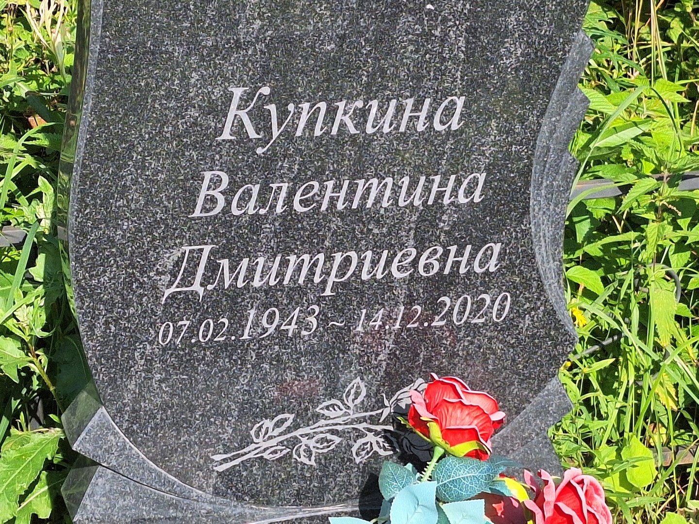 Купкина