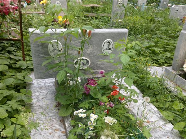 Ушаков Николай Павлович
