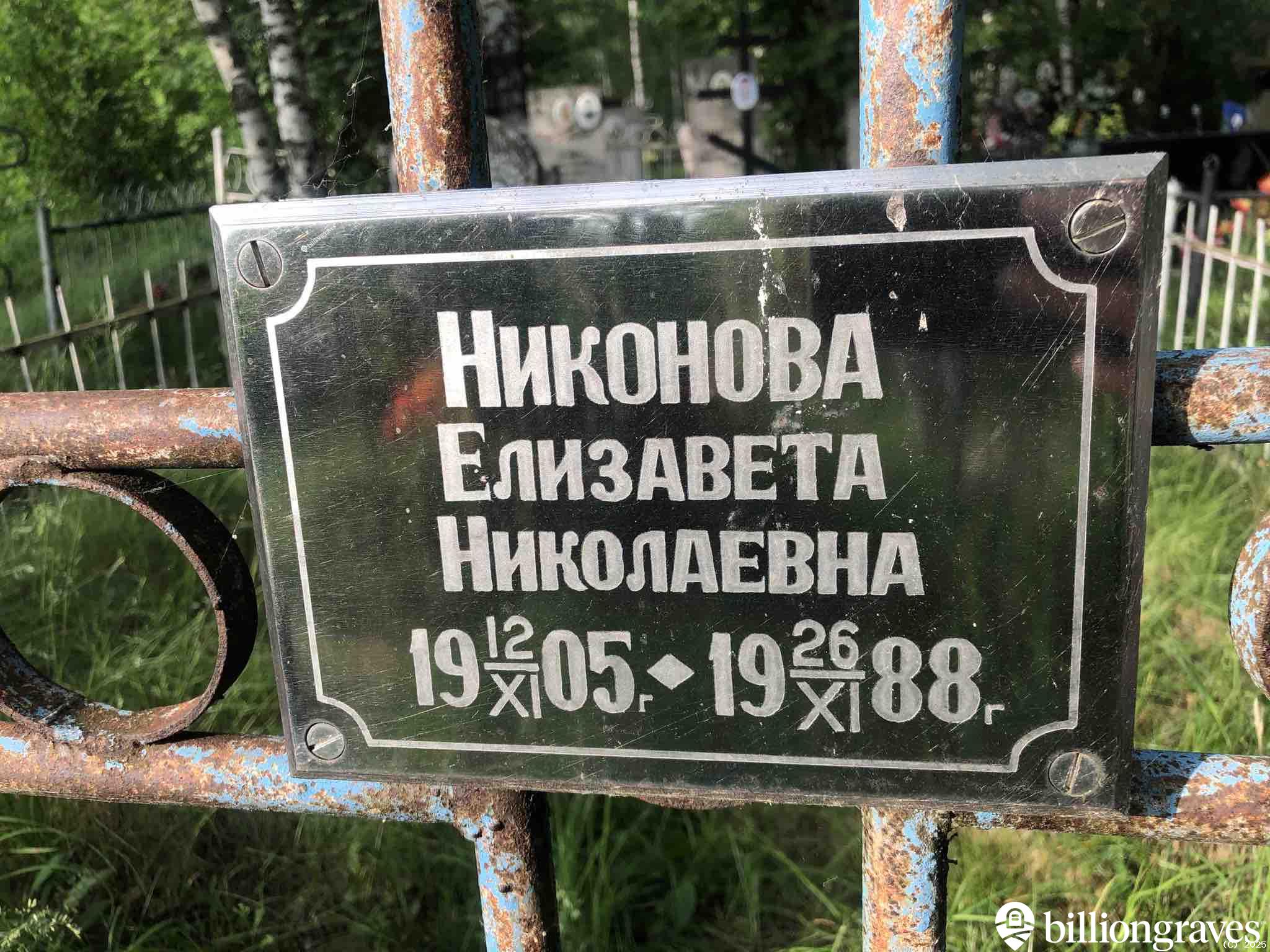 Никонова Елизавета Николаевна