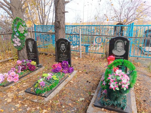 Довбыш Виктор Ильич