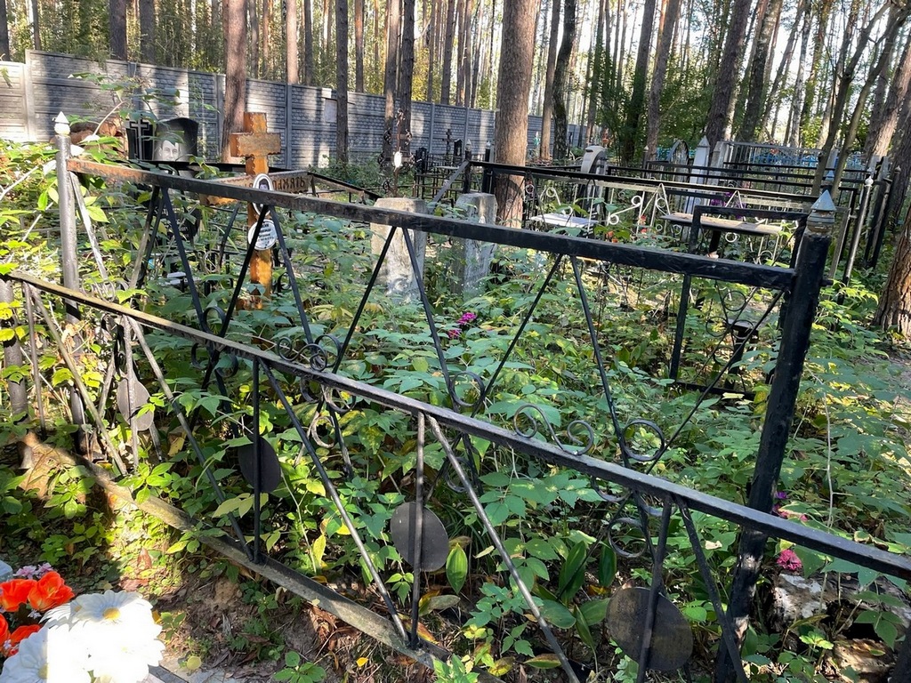 Васин Александр Петрович
