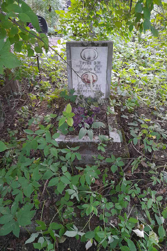 Вольф Е. М.