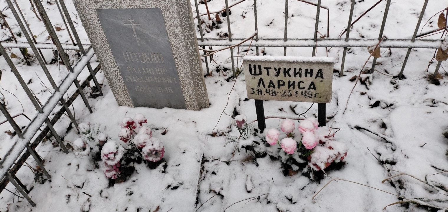 Штукина Лариса
