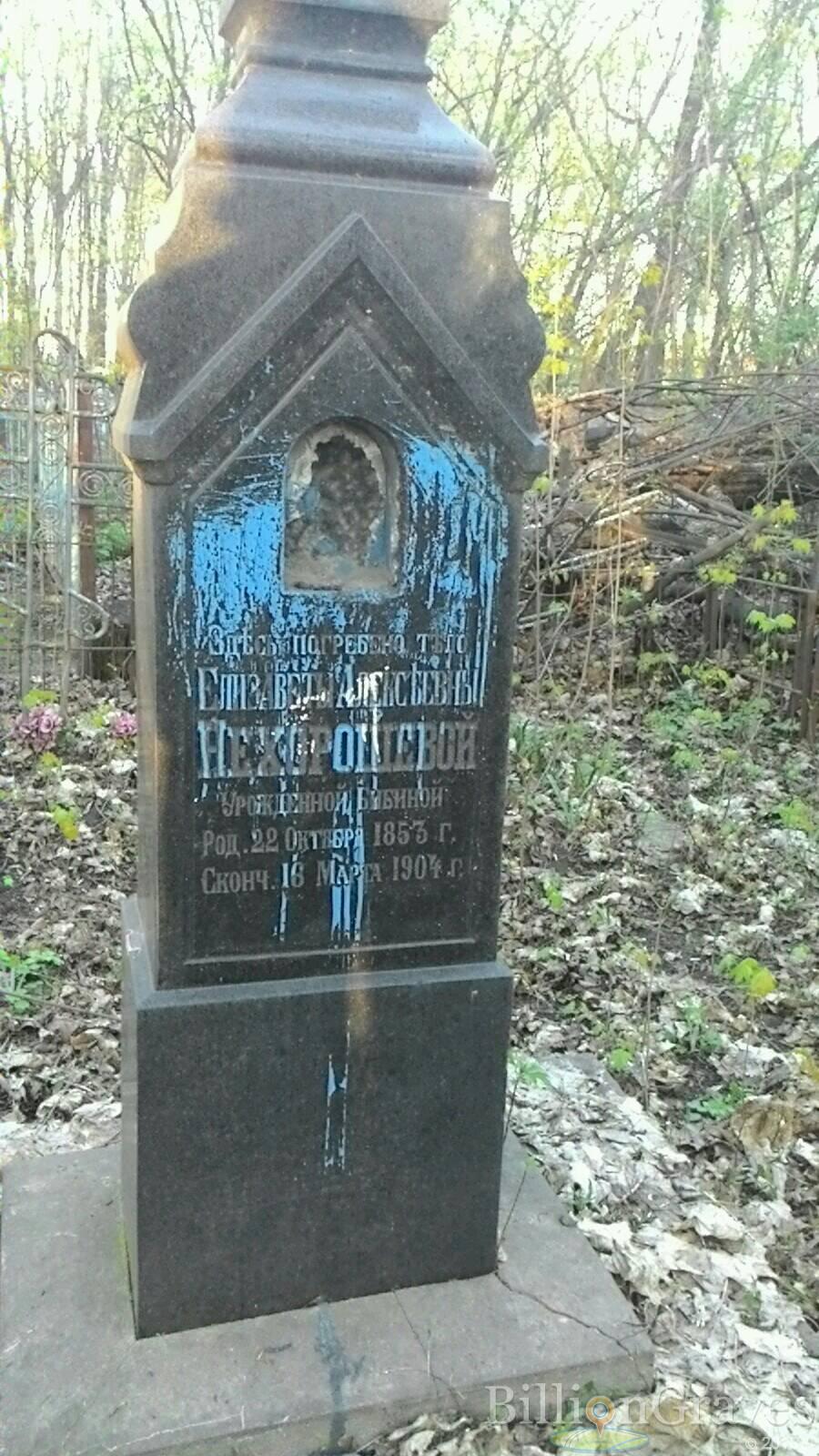 Нехорошева Елизавета Алексеевна
