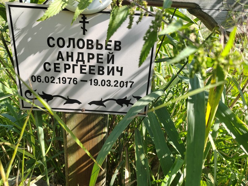 Соловьев