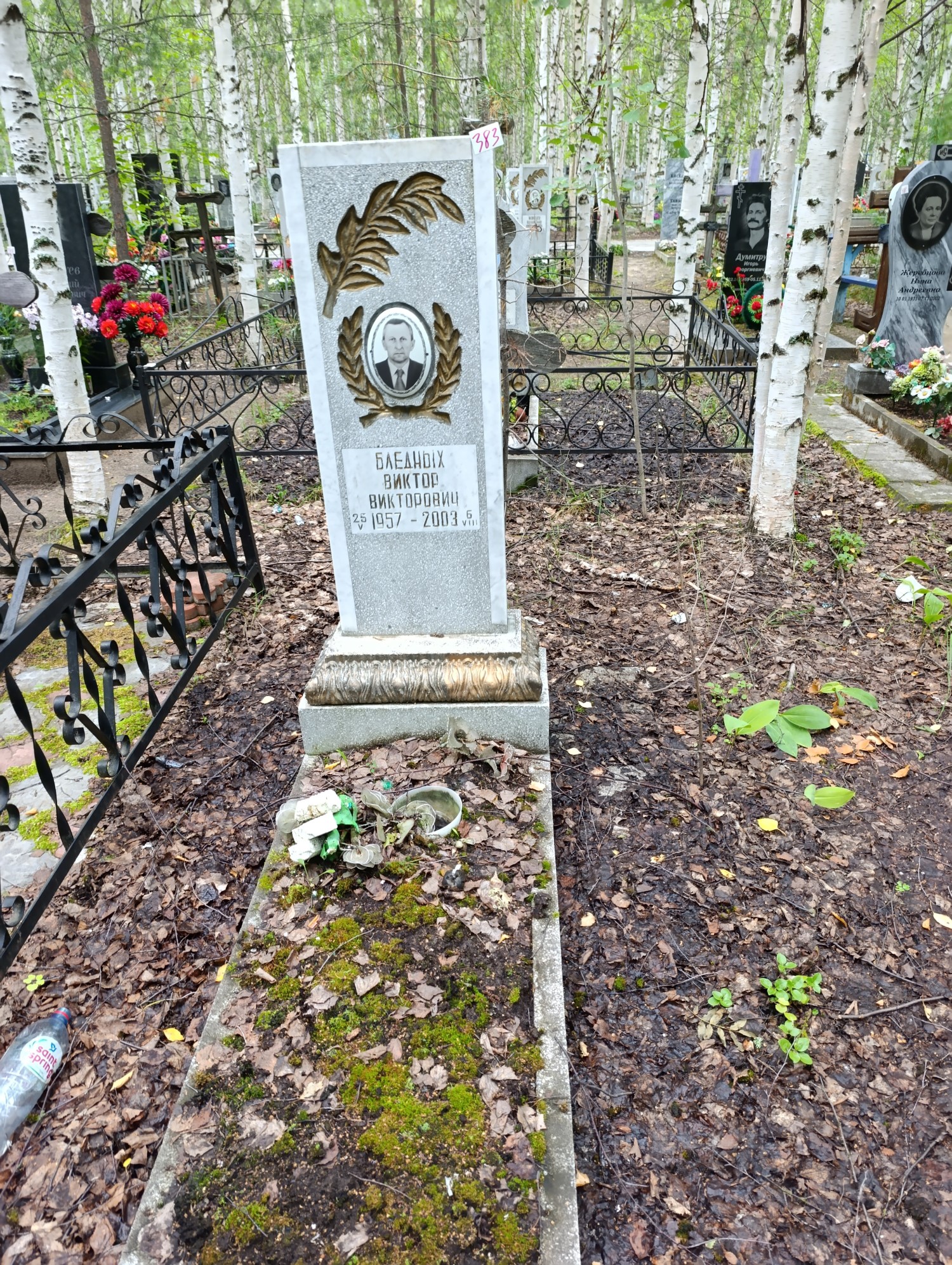 Бледных Виктор Викторович