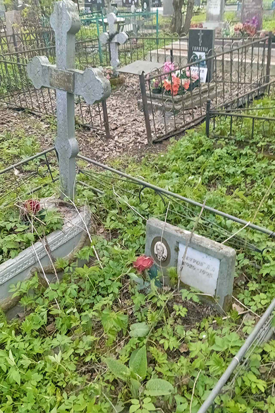 Петров А. А.