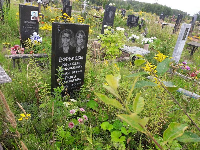 Ефремов Вячеслав Николаевич