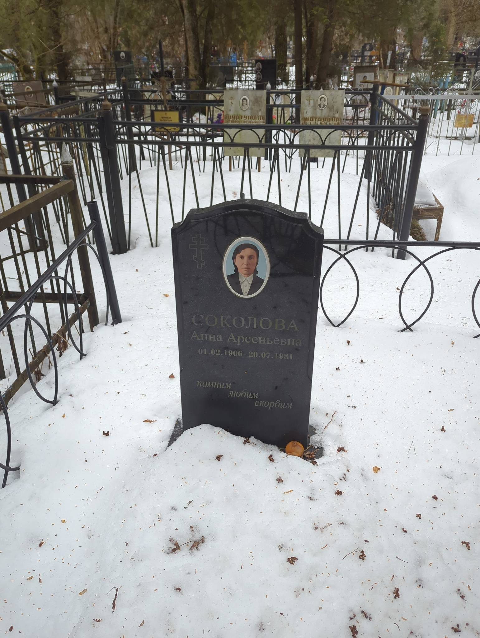 Соколова Анна Арсеньевна