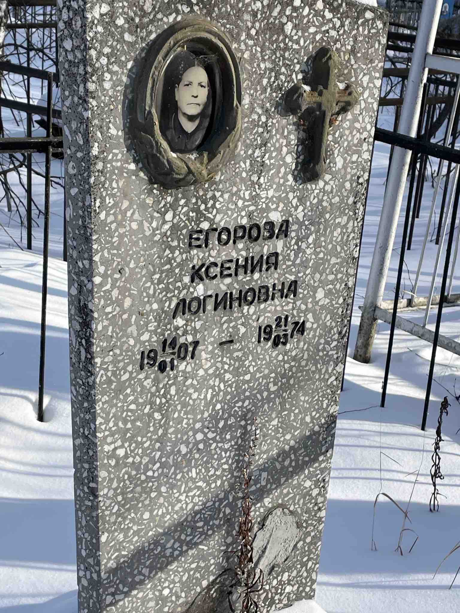 Егорова Ксения Логиновна