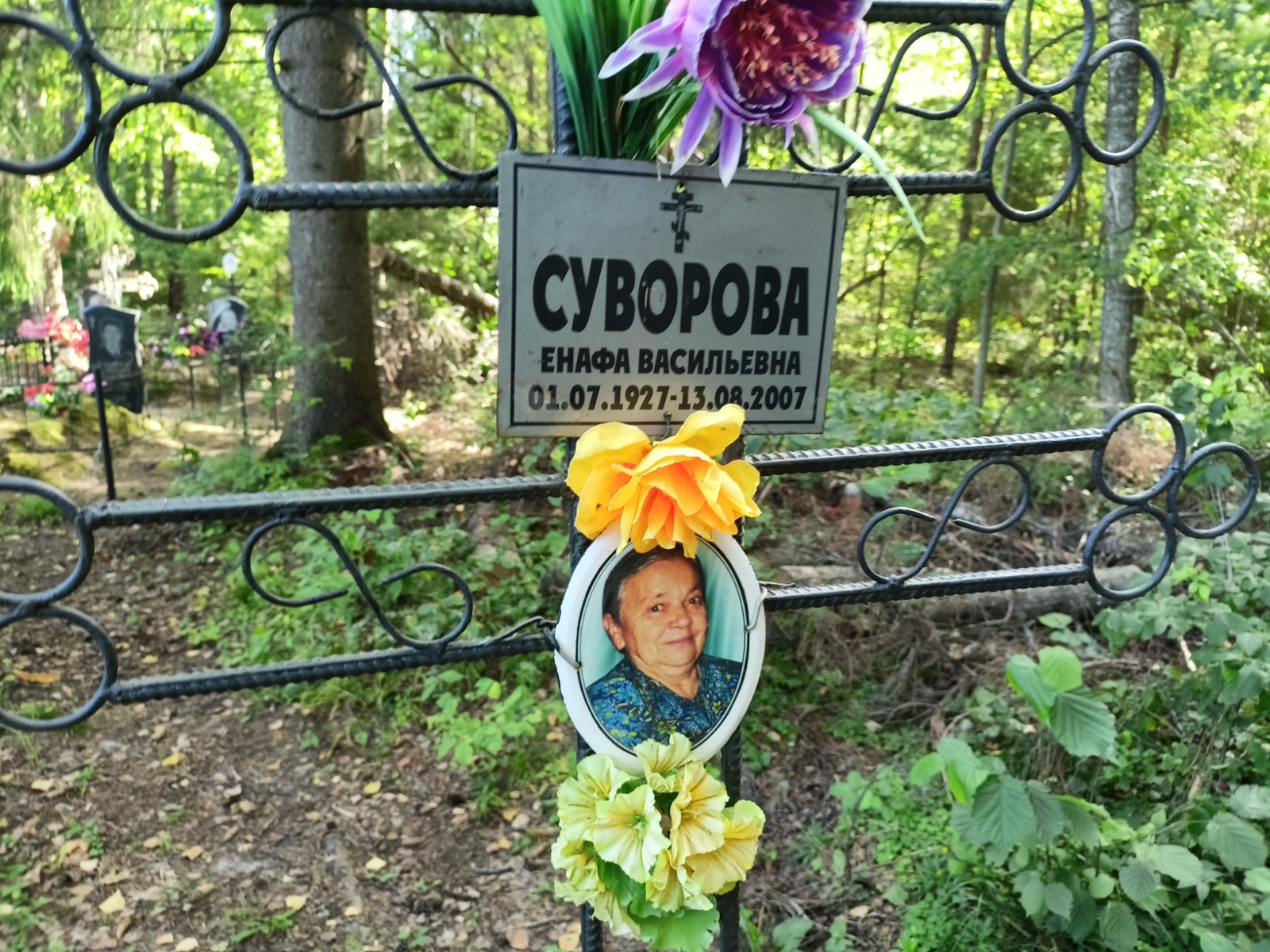 Суворова Енафа Васильевна